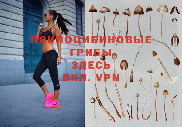 дмт Медвежьегорск