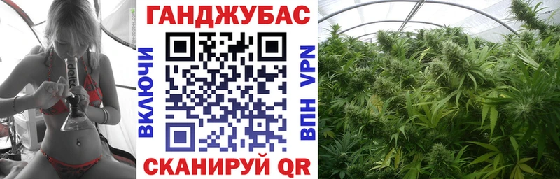 Канабис планчик  Купить где  Шатура 